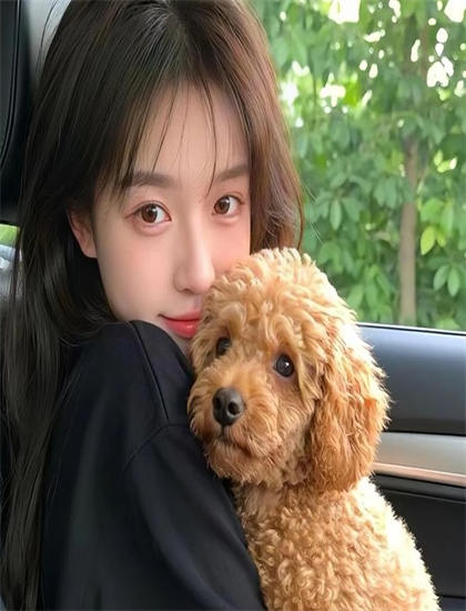 龙门飞甲在线观看_回来的女儿电视剧在线观看全集免费_抓娃娃在线观看